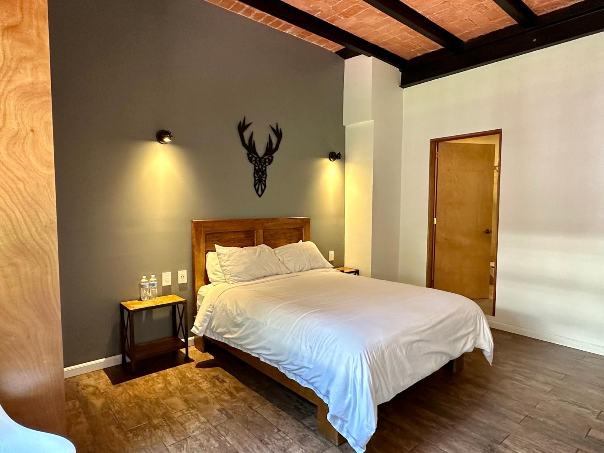 מלון מקסיקו סיטי Casa Raffaello מראה חיצוני תמונה